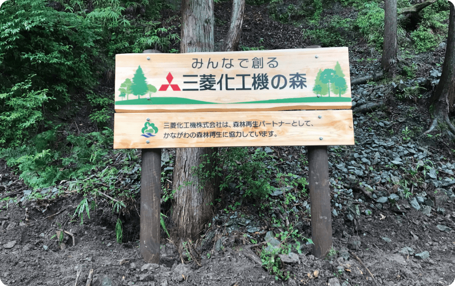 森林保全活動の実施