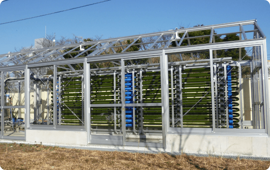 Urban photobioreactor for algae biomass production