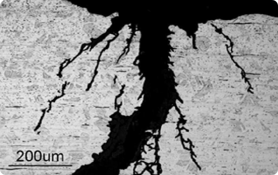 Microscopic observation (stress corrosion cracking)