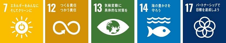 SDGs