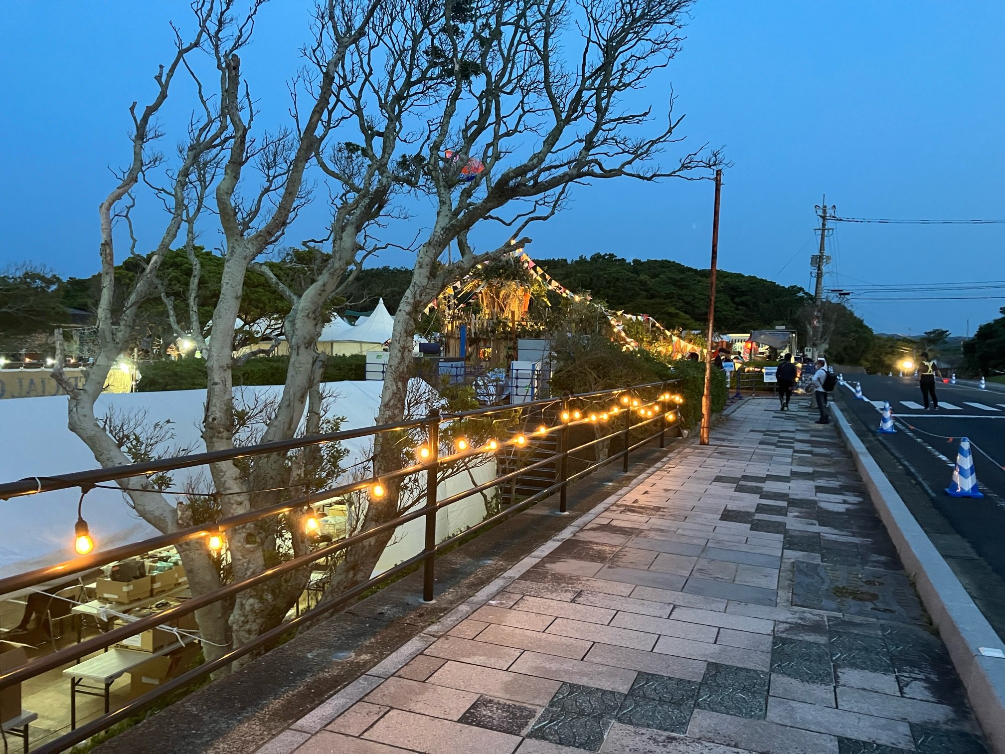メインゲートから会場への歩道の点灯