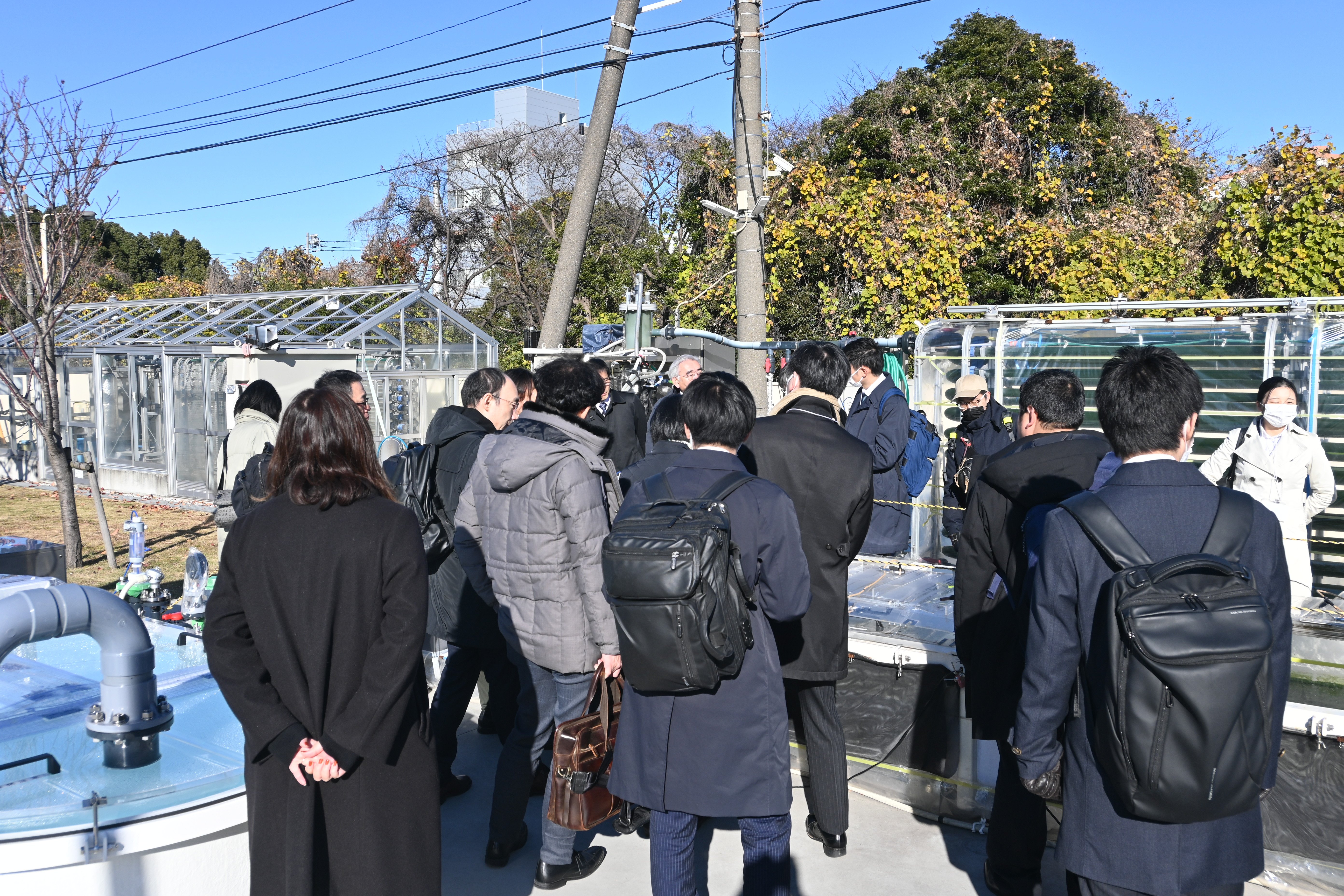 新たに設置したレースウェイ型培養装置