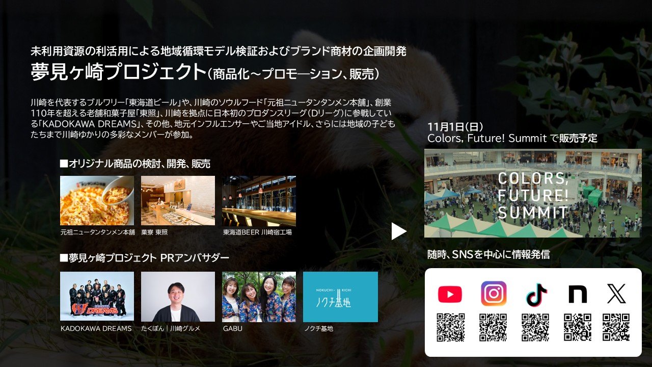 商品化　プロモーション